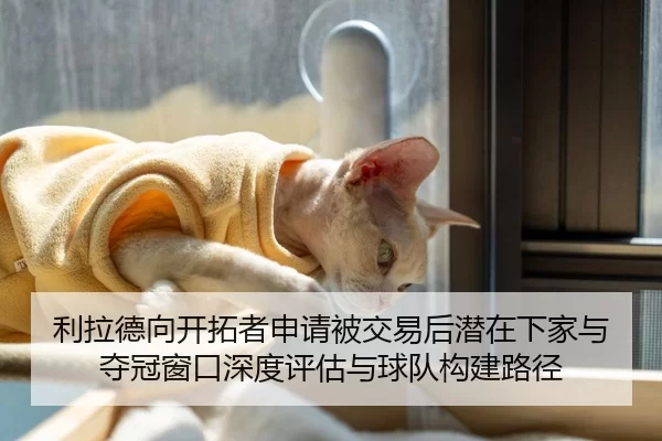 利拉德向开拓者申请被交易后潜在下家与夺冠窗口深度评估与球队构建路径